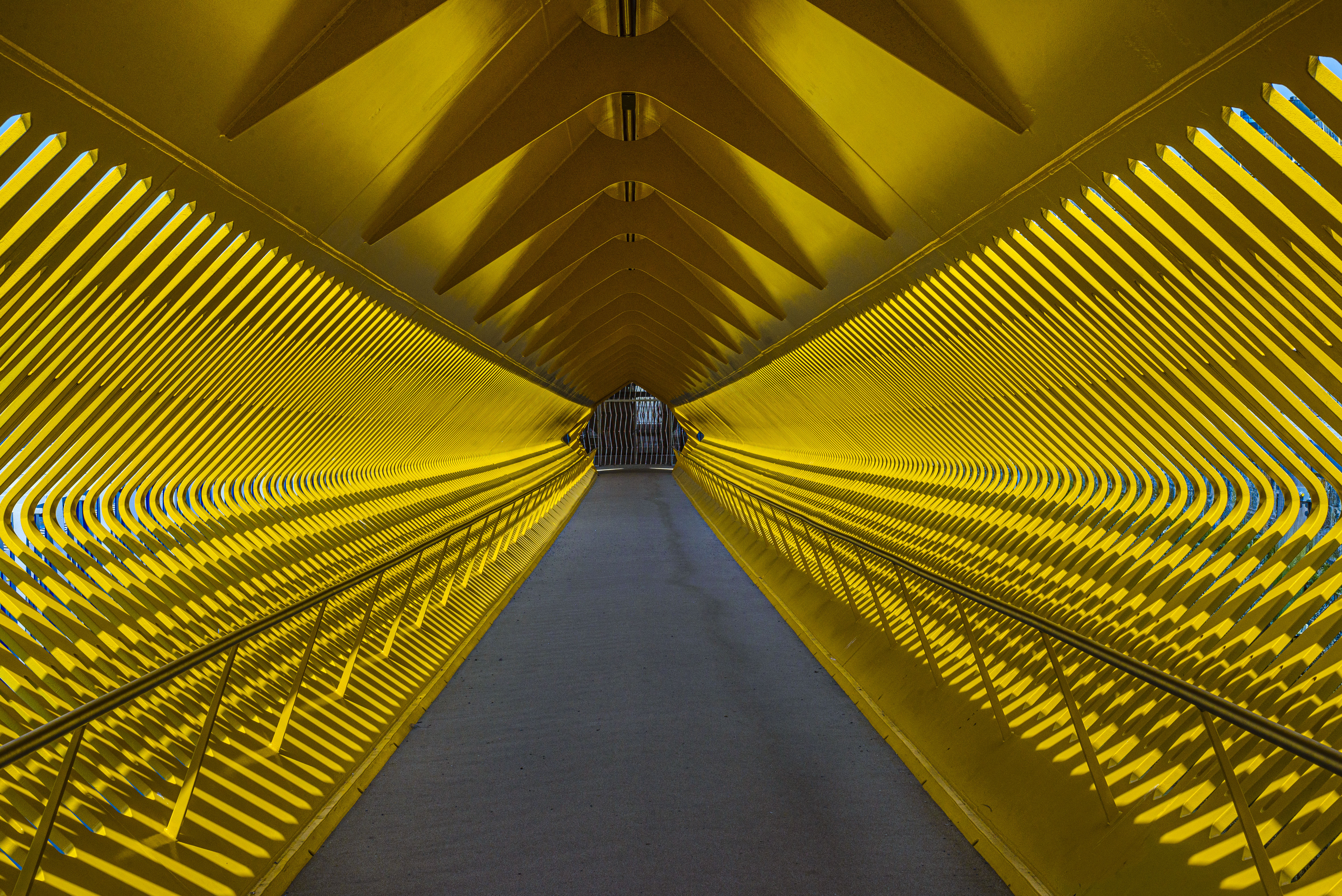 Anvers ©Renaud Fang